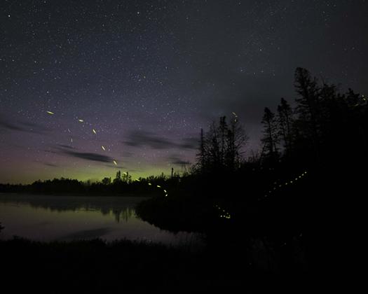 Kevin Zini captures fireflies dancing in the evening with a Northern Lights back drop.