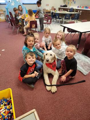 Finn, a young poodle belonging to Forest Park’s school nurse, started his new job as Trojan therapy dog on Sept. 29. Studies show that human-animal interactions instigate a host of positive health incomes, and more therapy dogs are being brought into schools to engage with staff and students. (submitted photo)
