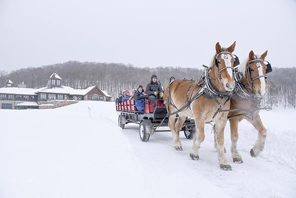 Horse-drawn wagon rides were offered by Rocking W Stables of Eagle River at the Young’s Recreational Complex on Jan. 21. The event boasted of dog sled rides, free use of winter outdoor equipment, a cribbage tournament, along with many other fun-filled activities. (photo by Kevin Zini)