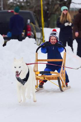 The Three Bear Sled Dog Race was held Feb. 4-5. It is known as one of the premier spectator races in the northern Midwest and is a favorite destination for mushers alike. 