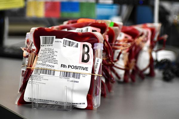 A row of blood bags. Submitted photo.