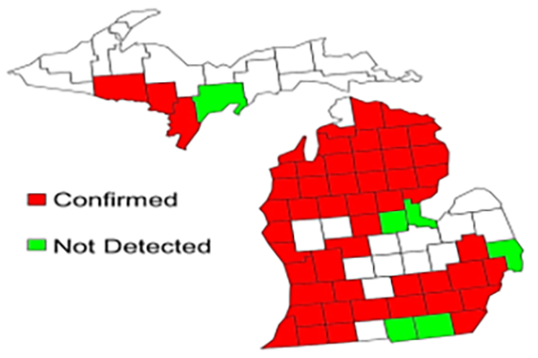 Diagnostic results of samples submitted to MSU Plant & Pest Diagnostics from Jan. 1, 2015, to Dec. 21, 2020, showing the widespread distribution of oak wilt. Figure courtesy of Center for Environmental and Regulatory Information Systems (CERIS), Purdue University. “NPDN data for Oak Wilt - Bretziella fagacearum”.